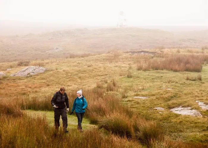 293 - Appartamento *